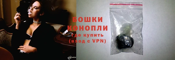 стаф Бронницы