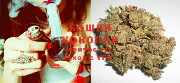 дживик Касимов