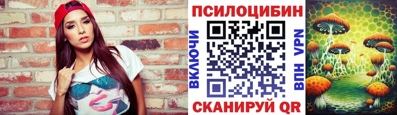 Галлюциногенные грибы Psilocybe  Волосово 